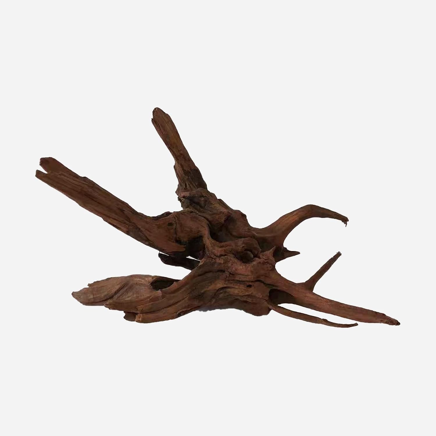 LYPHARD AQUARIUMS Driftwood for Aquarium, 14-18" Extra Large Drift Wood Fish Tank Assorted Branch Decorations Pieces for Reptile Hide