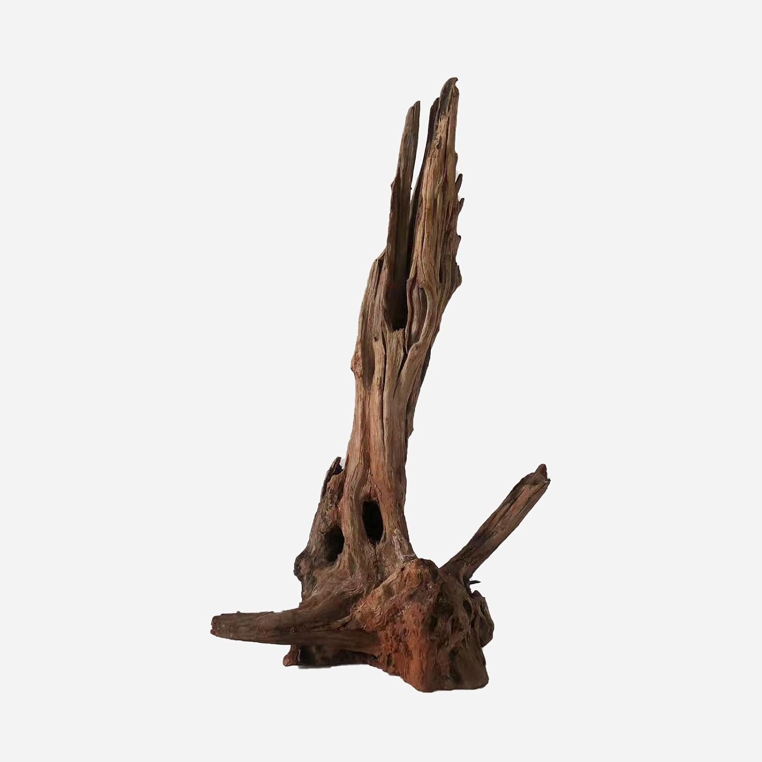 LYPHARD AQUARIUMS Driftwood for Aquarium, 14-18" Extra Large Drift Wood Fish Tank Assorted Branch Decorations Pieces for Reptile Hide