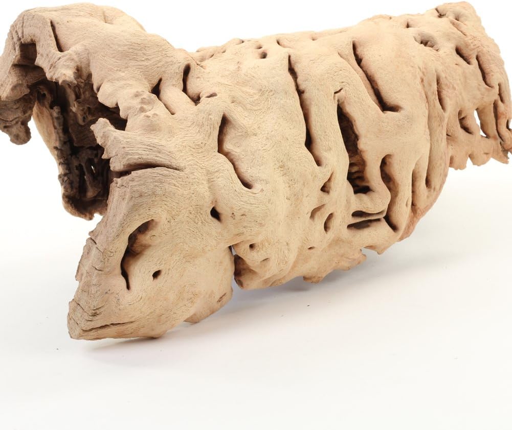 Koyal Wholesale 10" Hollow Grapewood Branch Decor 1Pcs Grapewood Centerpiece Vase Air Plants Sand Blasted Grapevine Wood Untreated Terrarium Wood Driftwood Decor