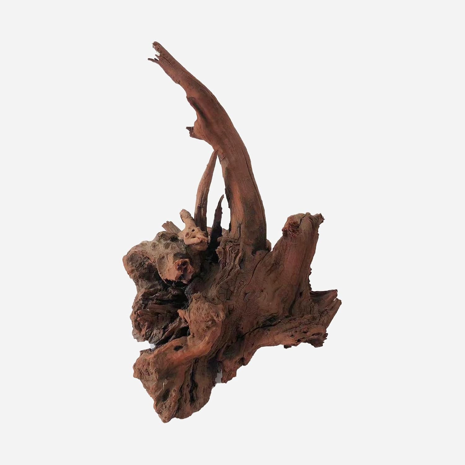 LYPHARD AQUARIUMS Driftwood for Aquarium, 14-18" Extra Large Drift Wood Fish Tank Assorted Branch Decorations Pieces for Reptile Hide