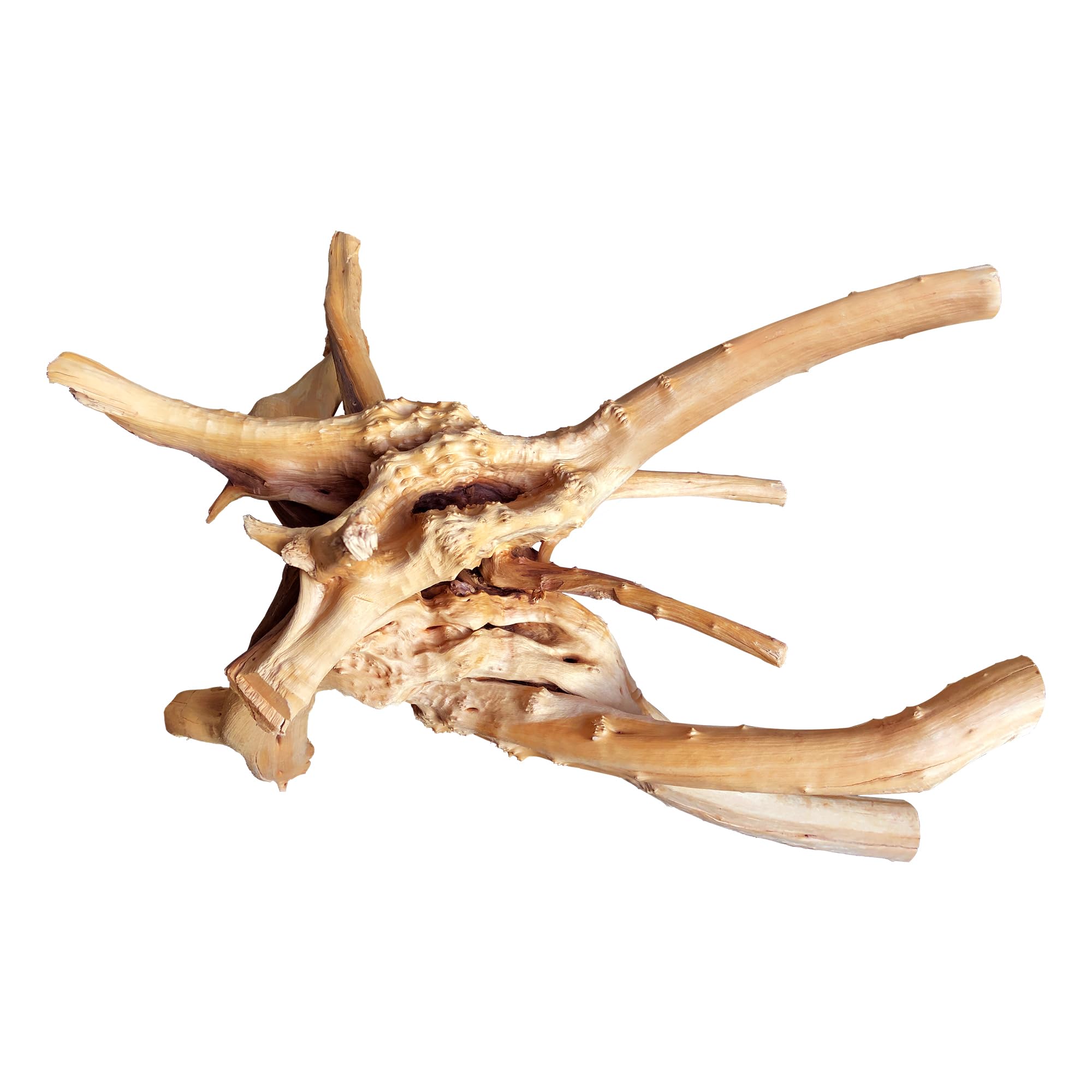 majoywoo Natural Coral Driftwood for Aquarium Decor Fish Tank Decorations, Assorted Driftwood Branch 6-10" 3 Pcs, Reptile Decor…