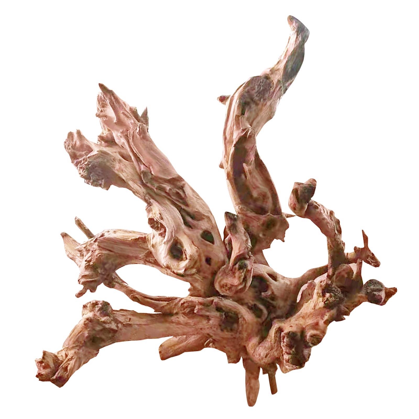 Jorewood Natural Small Aquarium Driftwood for Fish Tanks & Reptile Terrariums – 100% Safe Fish Tank Decorations, Unique Twisted Branches 5-Piece 4-8 Inch Low Tannin, Easy to Sink