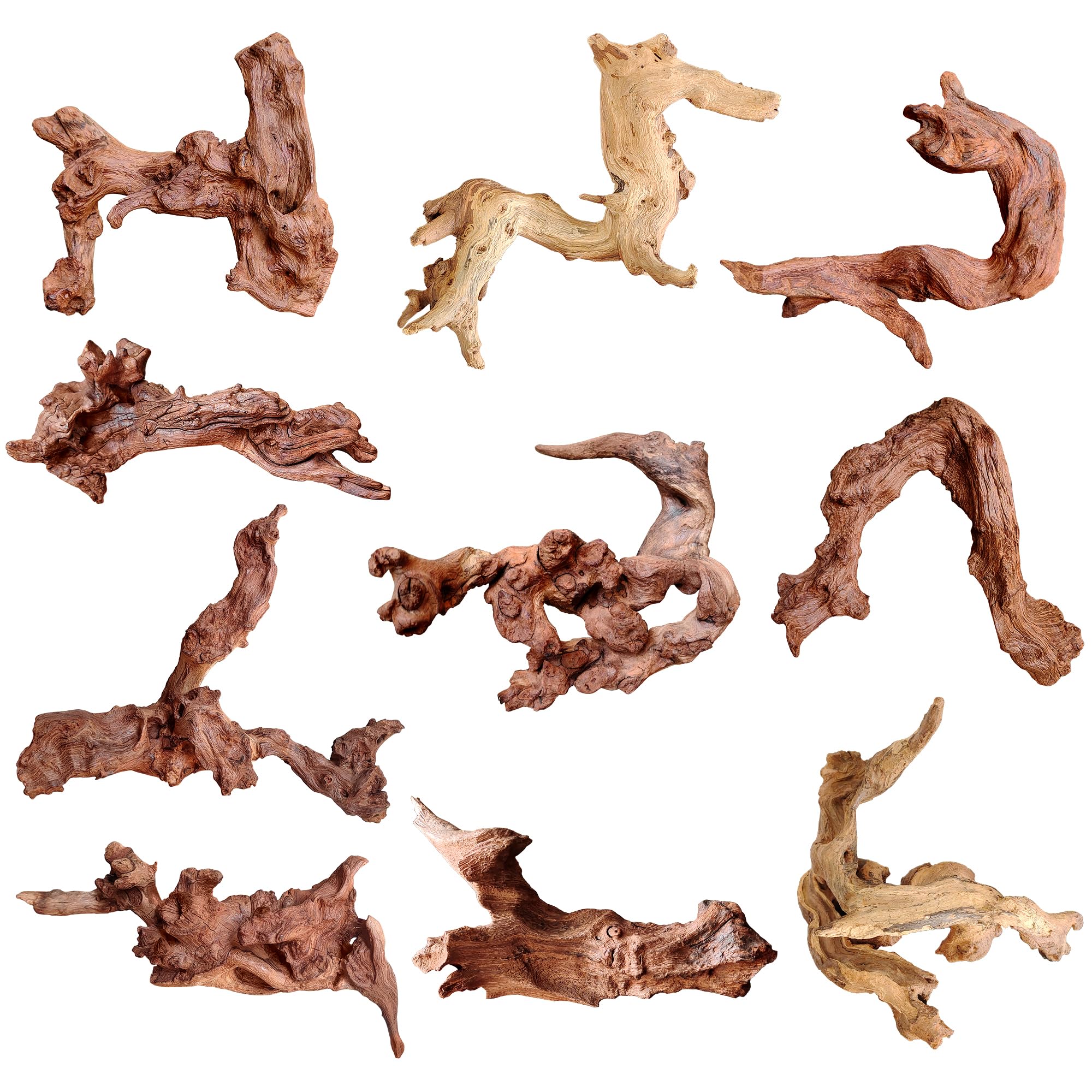 majoywoo Natural Coral Driftwood for Aquarium Decor Fish Tank Decorations, Assorted Driftwood Branch 6-10" 3 Pcs, Reptile Decor…