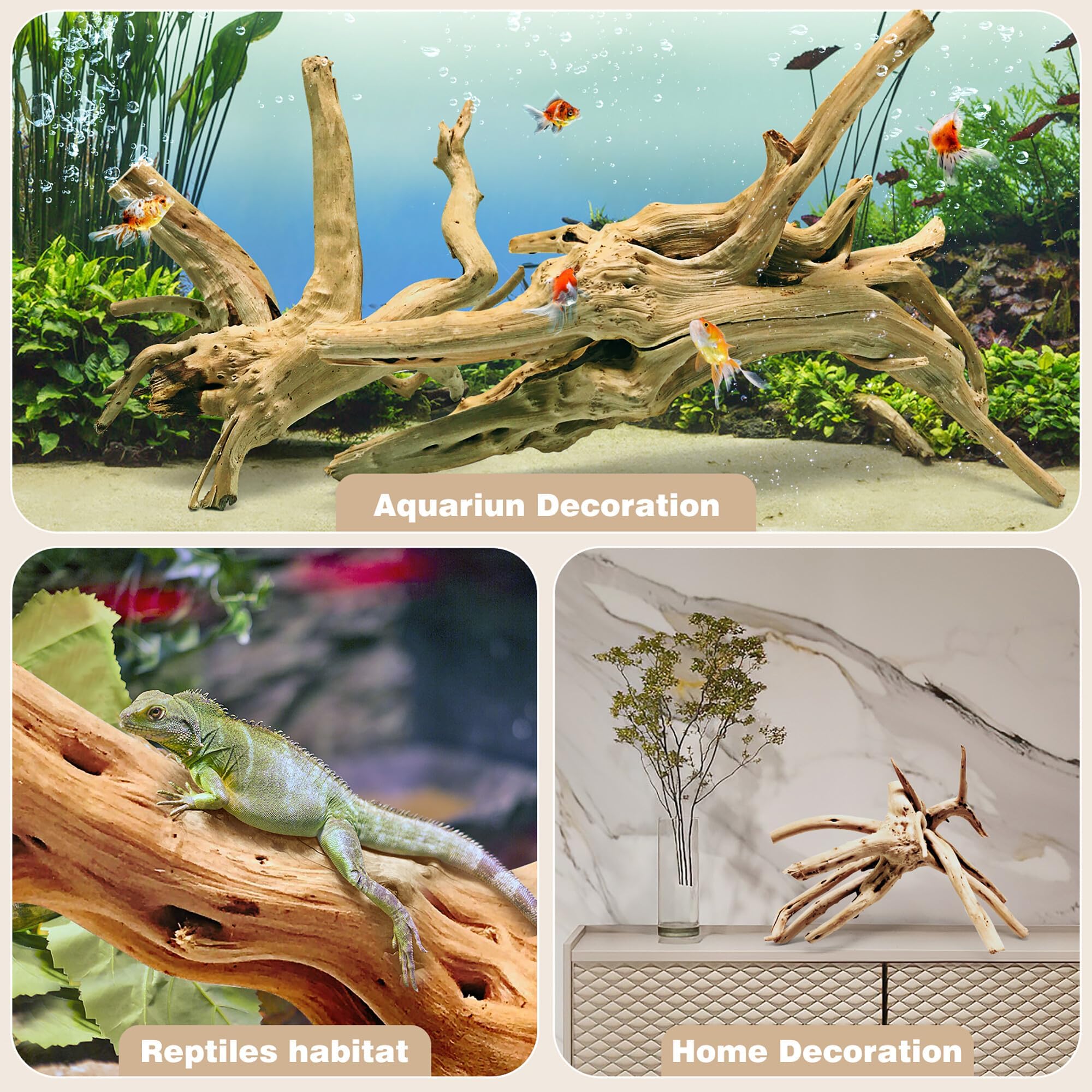 WDEFUN Natural Driftwood for Aquarium Decor, 2-Piece 10''-14'' Large Driftwood for Decorations on Fish Tank, Reptiles Bearded Dragon Accessories or Air Plants