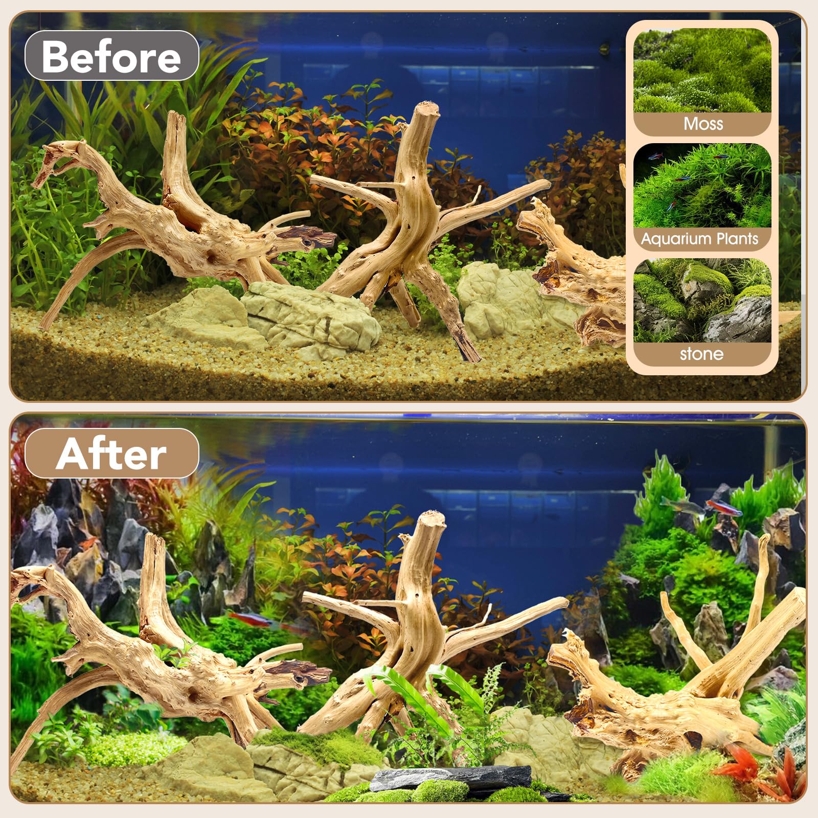 Jorewood Natural Small Aquarium Driftwood for Fish Tanks & Reptile Terrariums – 100% Safe Fish Tank Decorations, Unique Twisted Branches 5-Piece 4-8 Inch Low Tannin, Easy to Sink