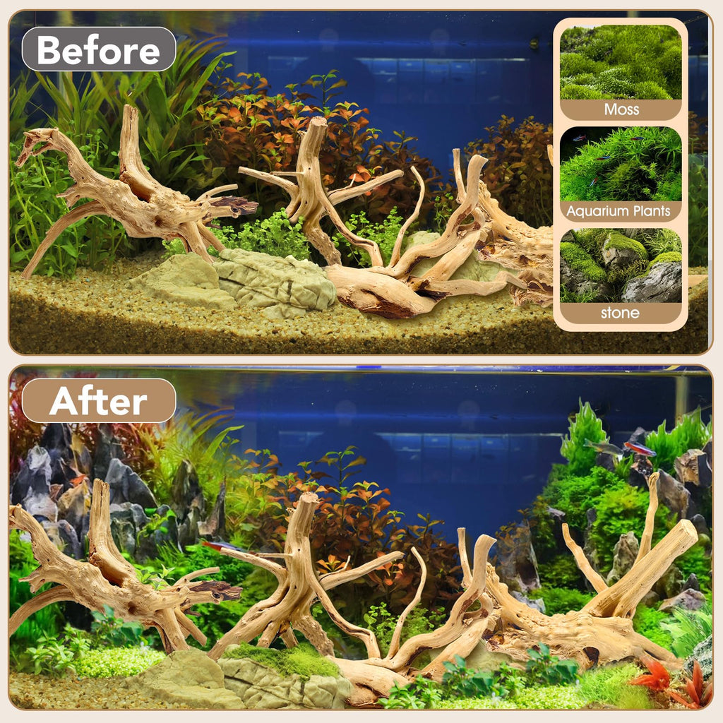 Jorewood Natural Small Aquarium Driftwood for Fish Tanks & Reptile Terrariums – 100% Safe Fish Tank Decorations, Unique Twisted Branches 5-Piece 4-8 Inch Low Tannin, Easy to Sink