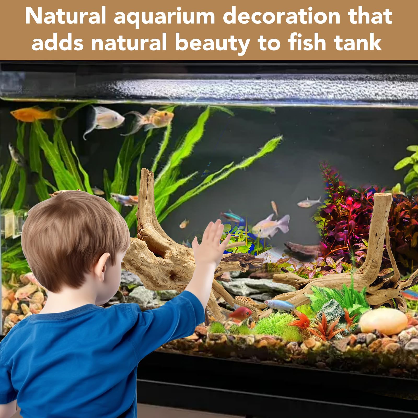 Jorewood Natural Small Aquarium Driftwood for Fish Tanks & Reptile Terrariums – 100% Safe Fish Tank Decorations, Unique Twisted Branches 5-Piece 4-8 Inch Low Tannin, Easy to Sink