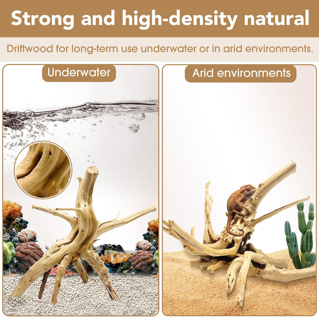 Jorewood Natural Small Aquarium Driftwood for Fish Tanks & Reptile Terrariums – 100% Safe Fish Tank Decorations, Unique Twisted Branches 5-Piece 4-8 Inch Low Tannin, Easy to Sink