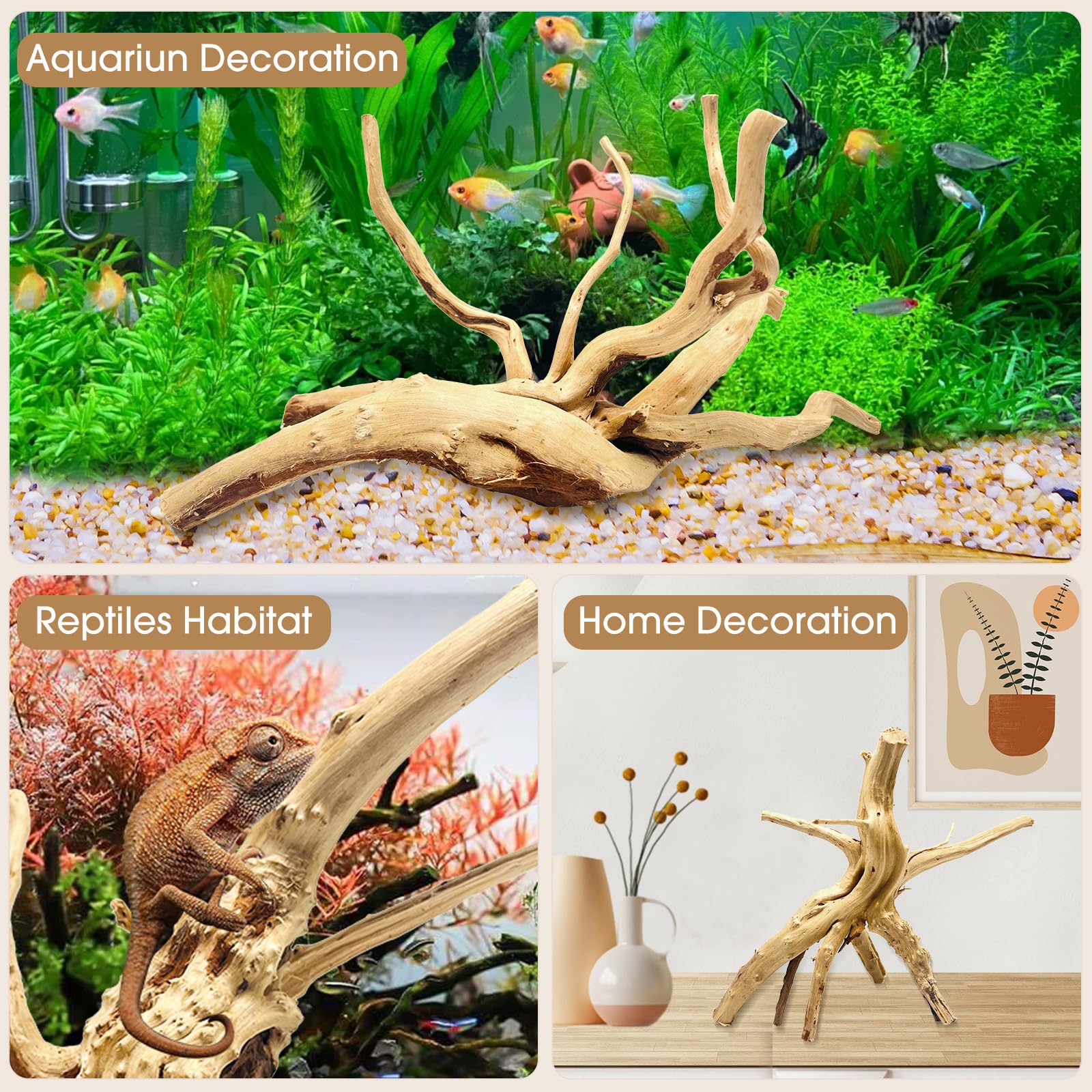 Jorewood Natural Small Aquarium Driftwood for Fish Tanks & Reptile Terrariums – 100% Safe Fish Tank Decorations, Unique Twisted Branches 5-Piece 4-8 Inch Low Tannin, Easy to Sink