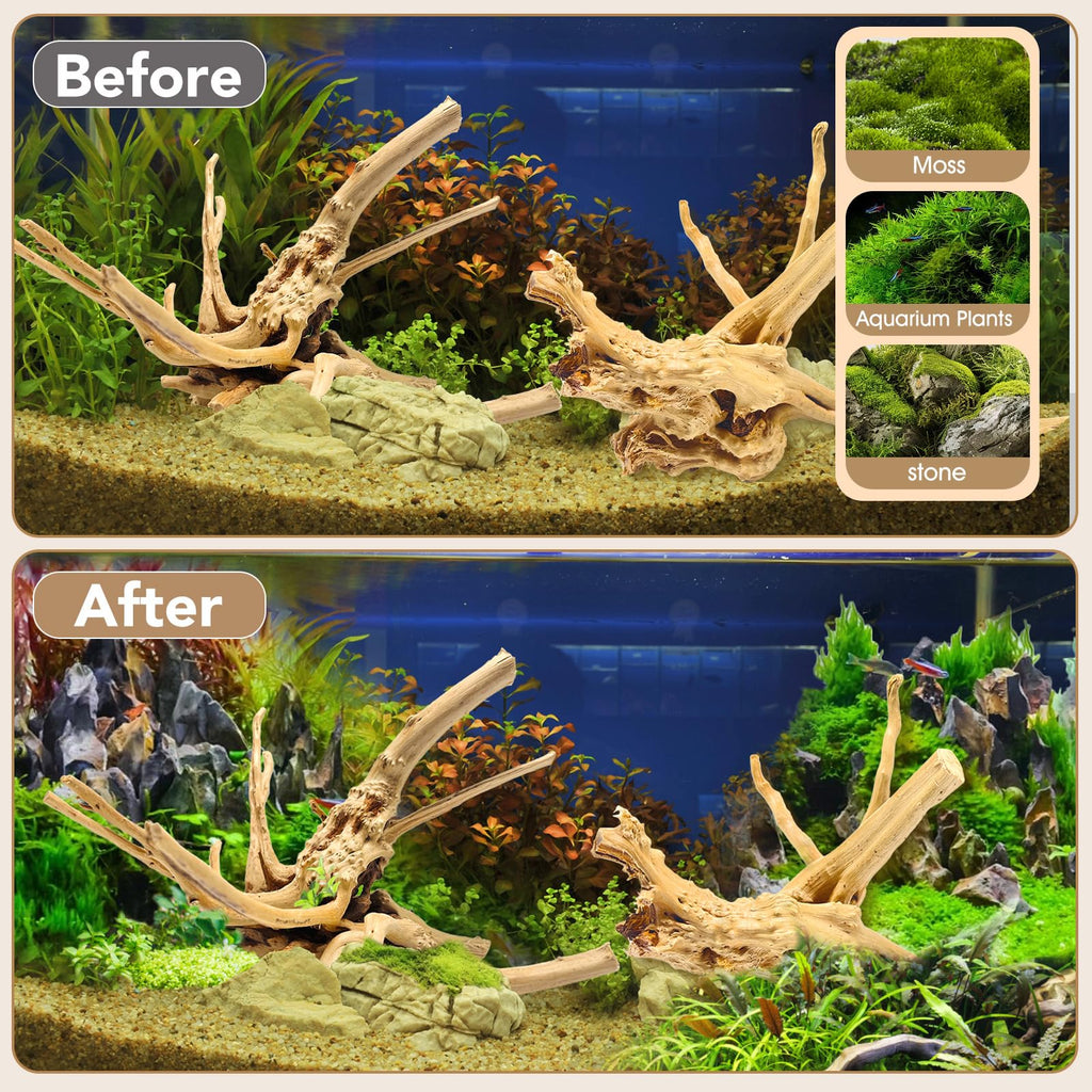 Jorewood Natural Small Aquarium Driftwood for Fish Tanks & Reptile Terrariums – 100% Safe Fish Tank Decorations, Unique Twisted Branches 5-Piece 4-8 Inch Low Tannin, Easy to Sink