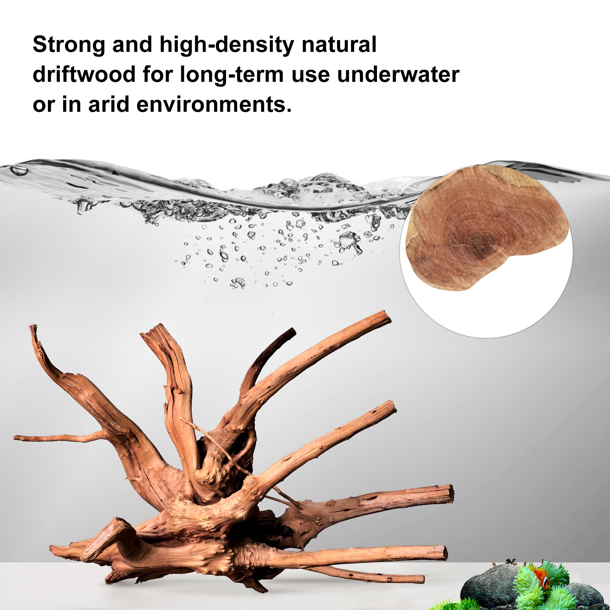 majoywoo Natural Coral Driftwood for Aquarium Decor Fish Tank Decorations, Assorted Driftwood Branch 6-10" 3 Pcs, Reptile Decor…