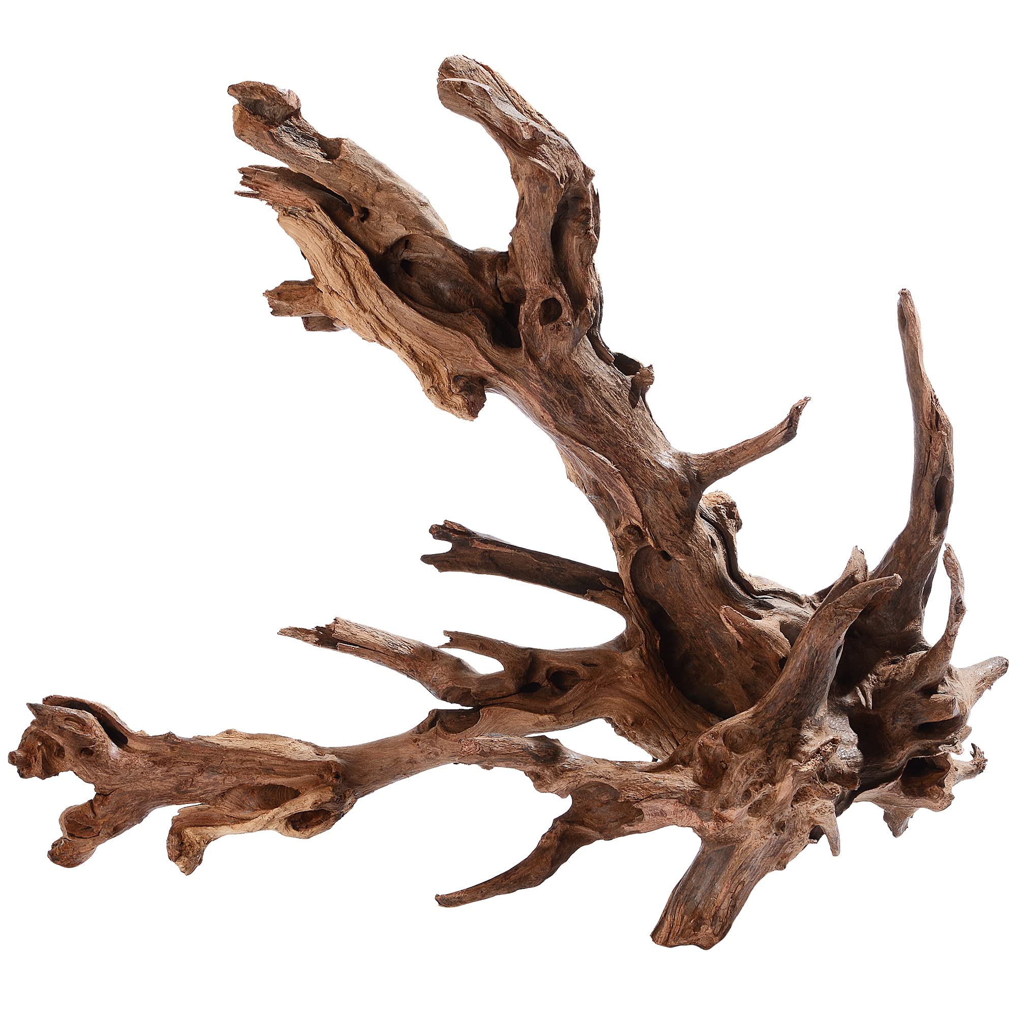 majoywoo Natural Coral Driftwood for Aquarium Decor Fish Tank Decorations, Assorted Driftwood Branch 6-10" 3 Pcs, Reptile Decor…