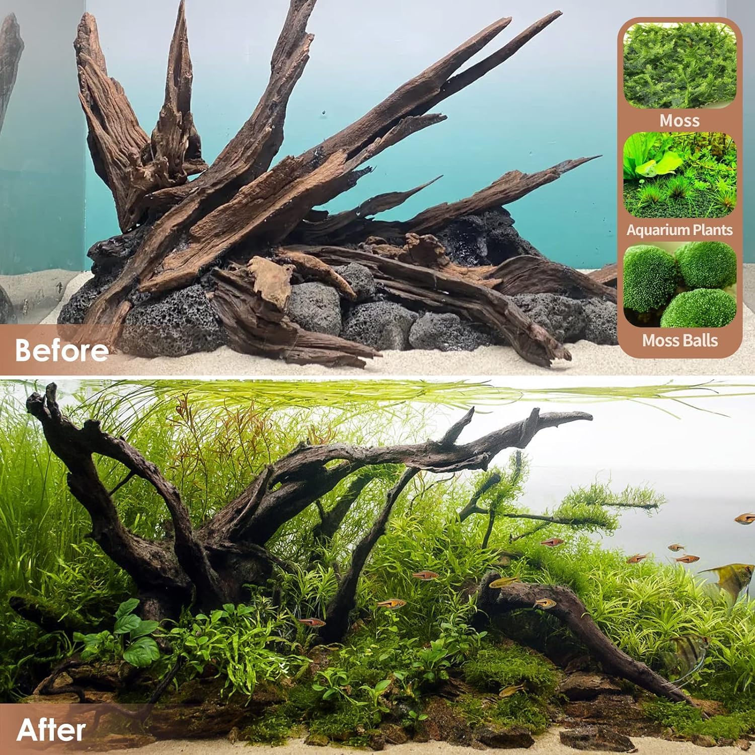 Jorewood Natural Small Aquarium Driftwood for Fish Tanks & Reptile Terrariums – 100% Safe Fish Tank Decorations, Unique Twisted Branches 5-Piece 4-8 Inch Low Tannin, Easy to Sink