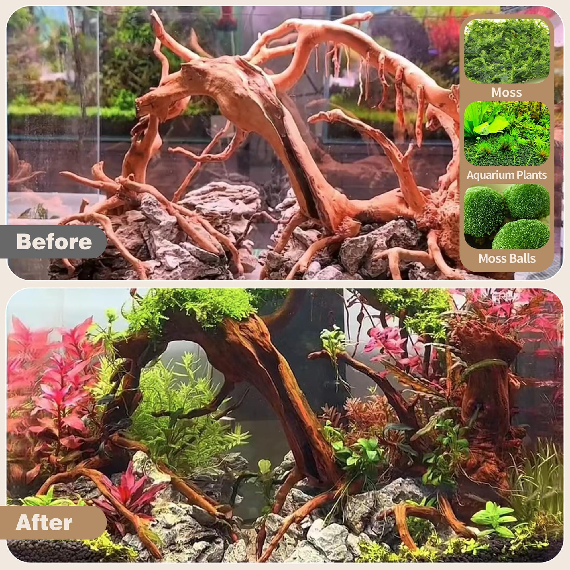 WDEFUN Natural Driftwood for Aquarium Decor, 2-Piece 10''-14'' Large Driftwood for Decorations on Fish Tank, Reptiles Bearded Dragon Accessories or Air Plants