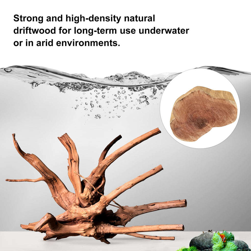 majoywoo Natural Coral Driftwood for Aquarium Decor Fish Tank Decorations, Assorted Driftwood Branch 6-10" 3 Pcs, Reptile Decor…