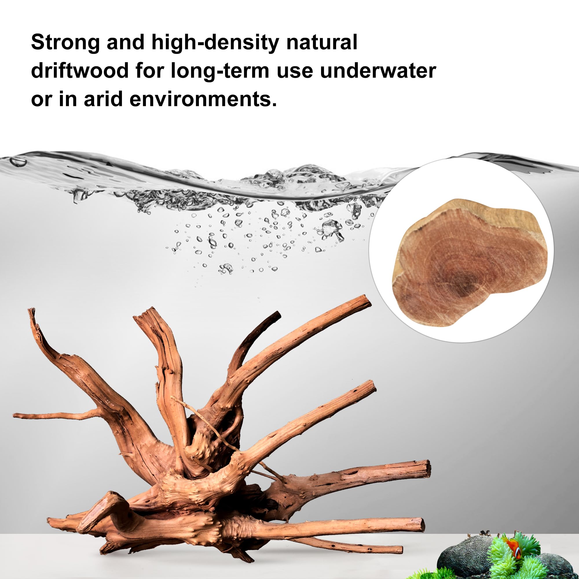 majoywoo Natural Coral Driftwood for Aquarium Decor Fish Tank Decorations, Assorted Driftwood Branch 6-10" 3 Pcs, Reptile Decor…