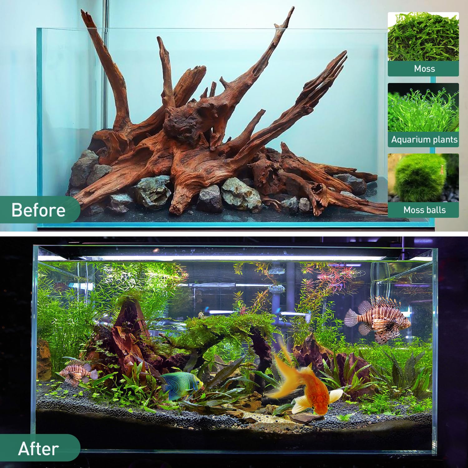 WDEFUN Natural Driftwood for Aquarium Decor, 2-Piece 10''-14'' Large Driftwood for Decorations on Fish Tank, Reptiles Bearded Dragon Accessories or Air Plants