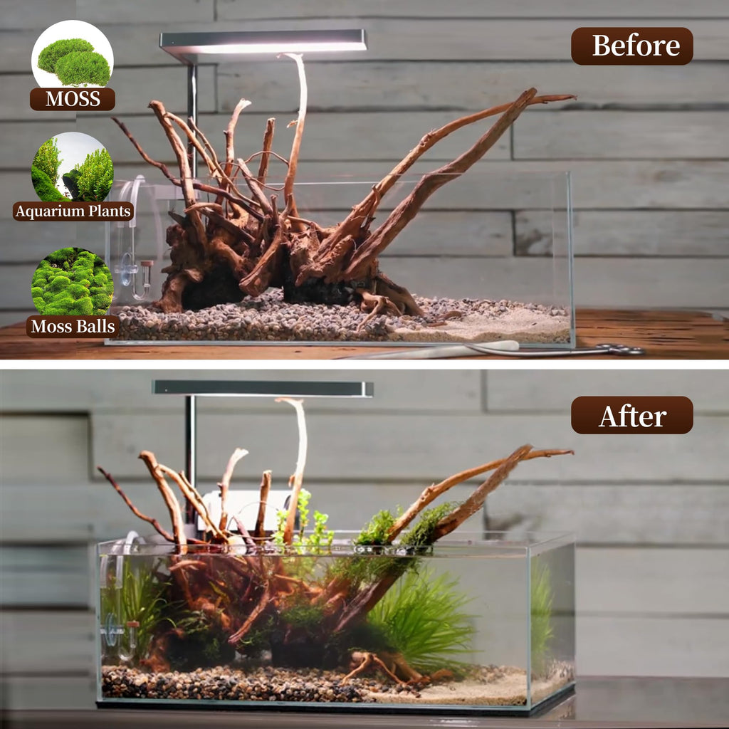 majoywoo Natural Coral Driftwood for Aquarium Decor Fish Tank Decorations, Assorted Driftwood Branch 6-10" 3 Pcs, Reptile Decor…