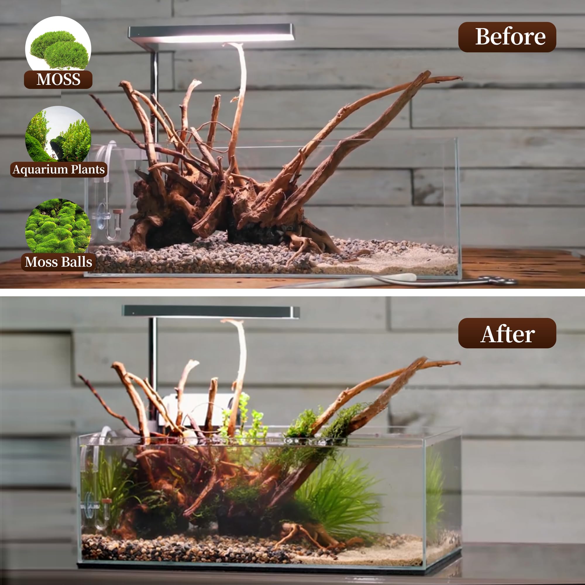 majoywoo Natural Coral Driftwood for Aquarium Decor Fish Tank Decorations, Assorted Driftwood Branch 6-10" 3 Pcs, Reptile Decor…
