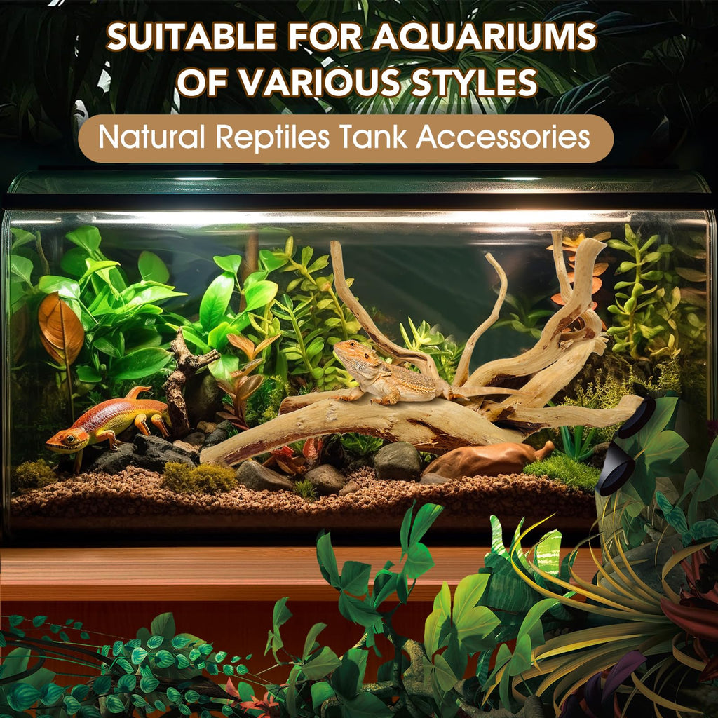 Jorewood Natural Small Aquarium Driftwood for Fish Tanks & Reptile Terrariums – 100% Safe Fish Tank Decorations, Unique Twisted Branches 5-Piece 4-8 Inch Low Tannin, Easy to Sink
