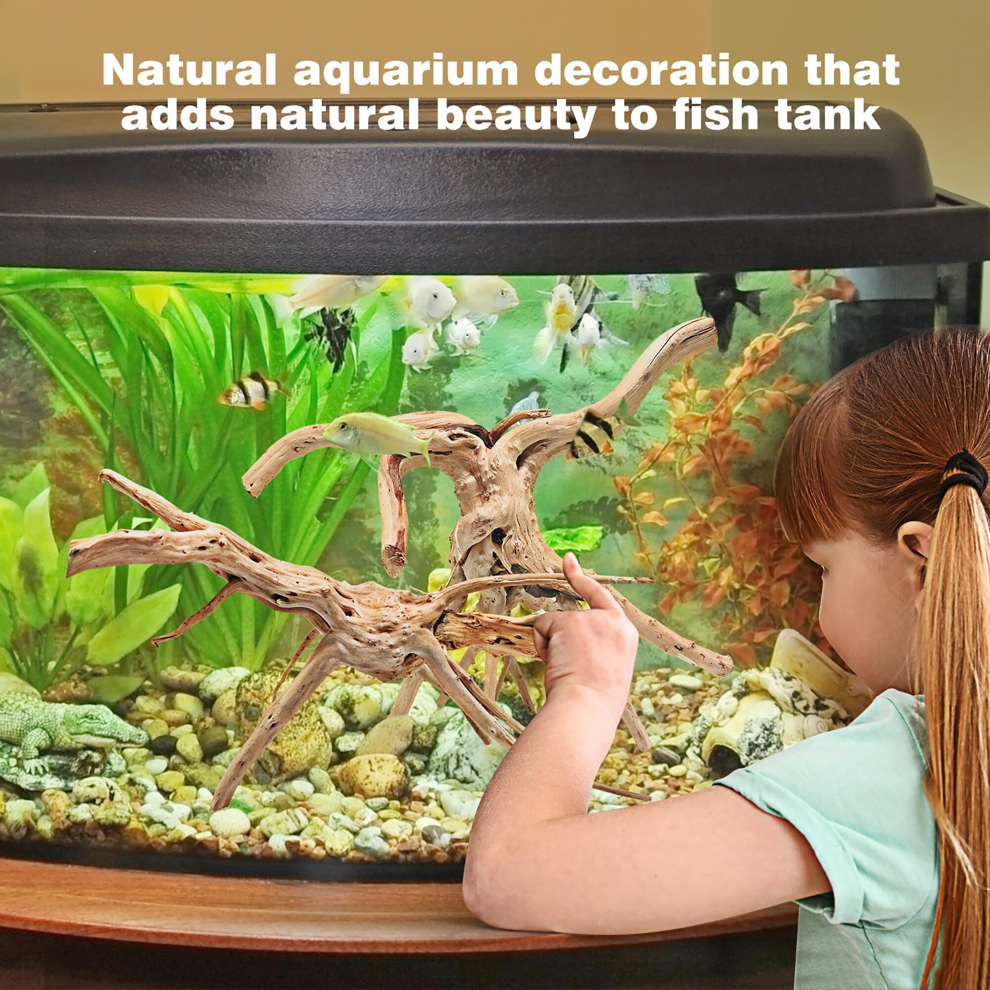 WDEFUN Natural Driftwood for Aquarium Decor, 2-Piece 10''-14'' Large Driftwood for Decorations on Fish Tank, Reptiles Bearded Dragon Accessories or Air Plants