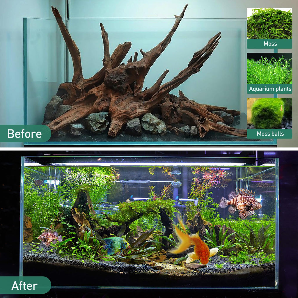 WDEFUN Natural Driftwood for Aquarium Decor, 2-Piece 10''-14'' Large Driftwood for Decorations on Fish Tank, Reptiles Bearded Dragon Accessories or Air Plants