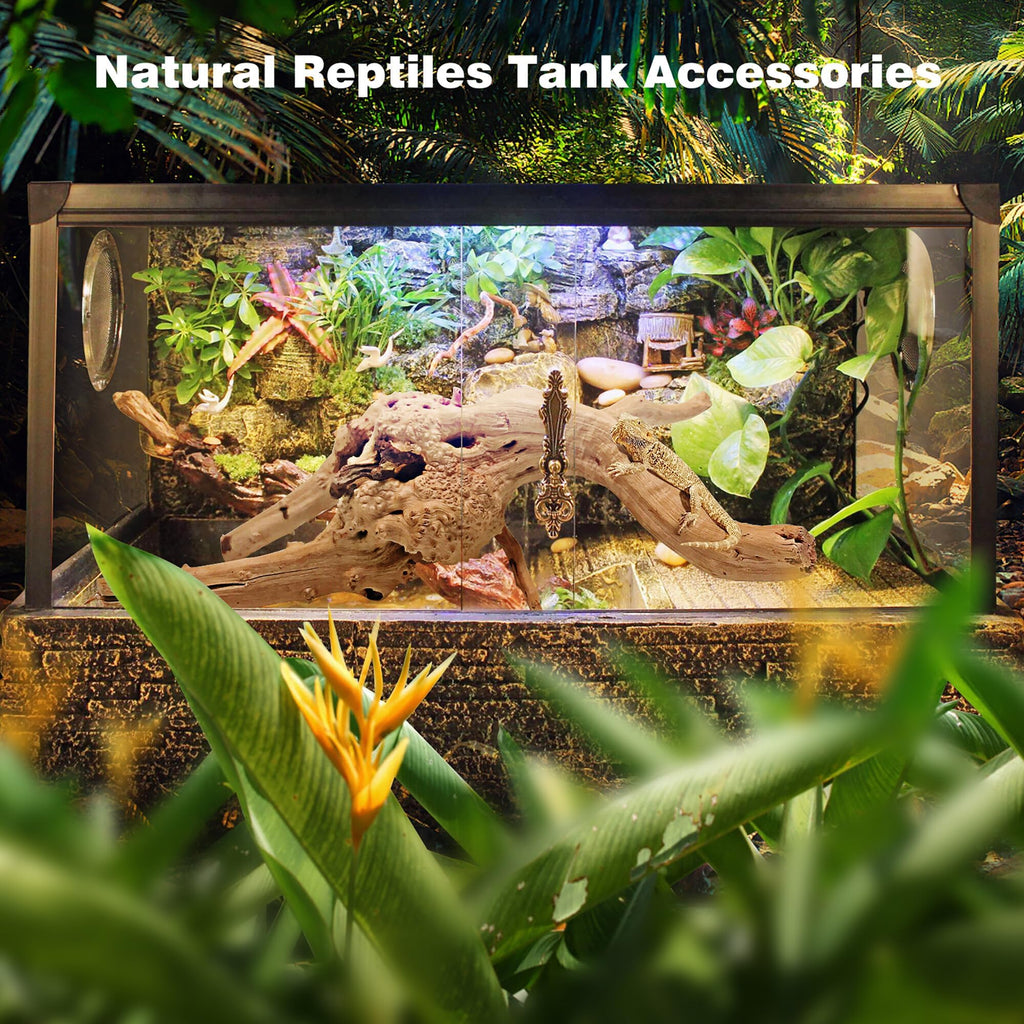 WDEFUN Natural Driftwood for Aquarium Decor, 2-Piece 10''-14'' Large Driftwood for Decorations on Fish Tank, Reptiles Bearded Dragon Accessories or Air Plants
